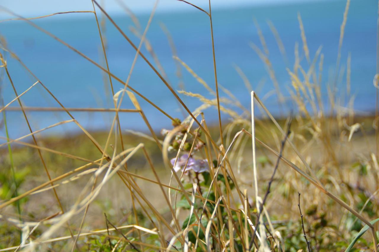 Vila Fouesnant Kerseach Exteriér fotografie
